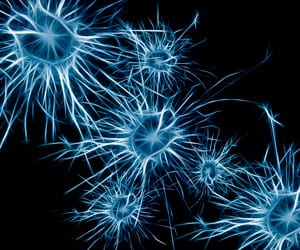 Red de neuronas