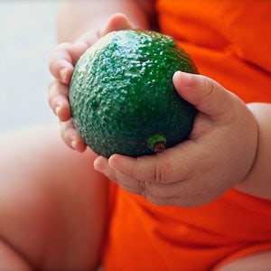 Niño sujetando un aguacate, introducción de alimentos en bebés
