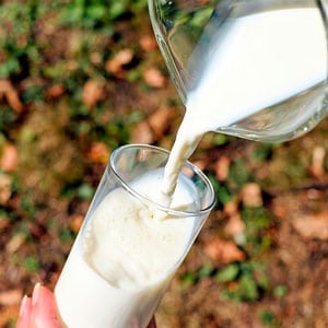 Persona poniéndose un vaso de leche, evolución en nutrición