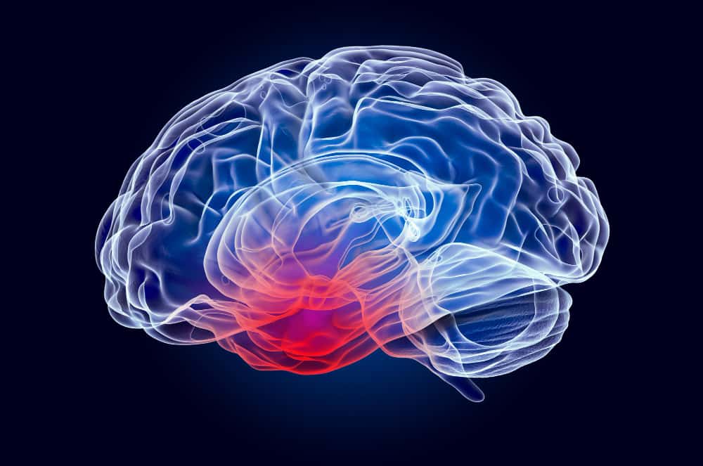 Cerebro flotante simulando la neuroinflamación