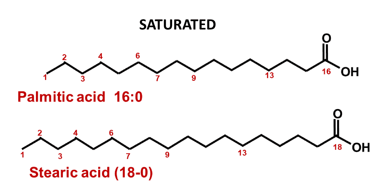 Estructura de las grasas saturadas. Omega-3