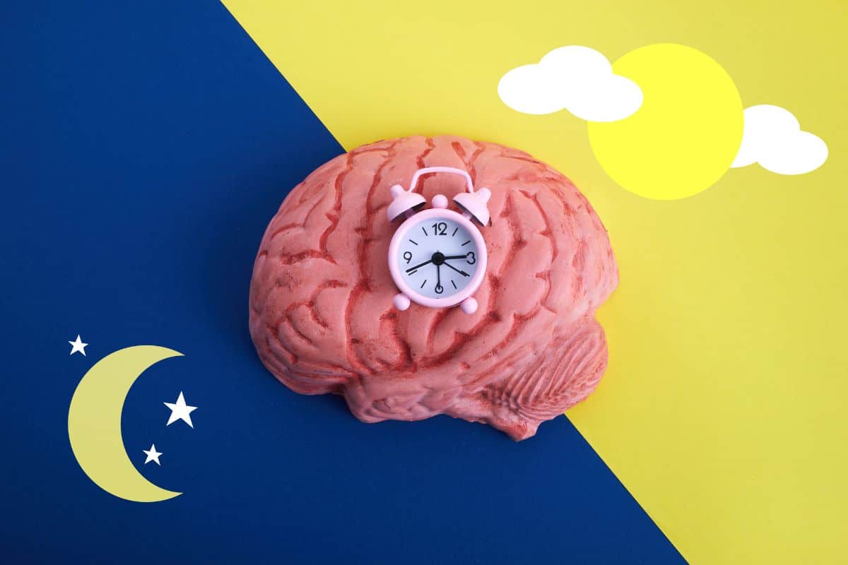 En el ritmo circadiano normal, cuando empieza a oscurecer, nuestro cuerpo comienza a aumentar la temperatura corporal periférica y segrega una hormona llamada melatonina, producida por la glándula pineal.