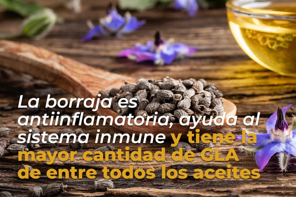 La borrada es uno de los aceites con mayor fitoestrógenos naturales