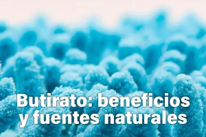 Que es el ácido butírico o butirato y que propiedades y beneficios tiene
