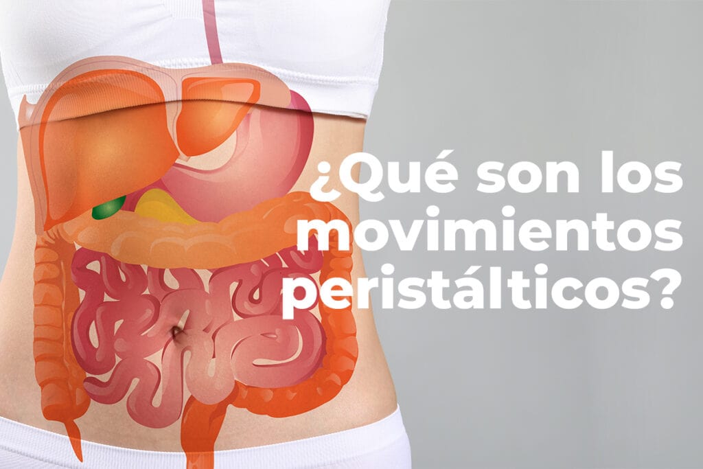 Diagrama con los movimientos peristálticos