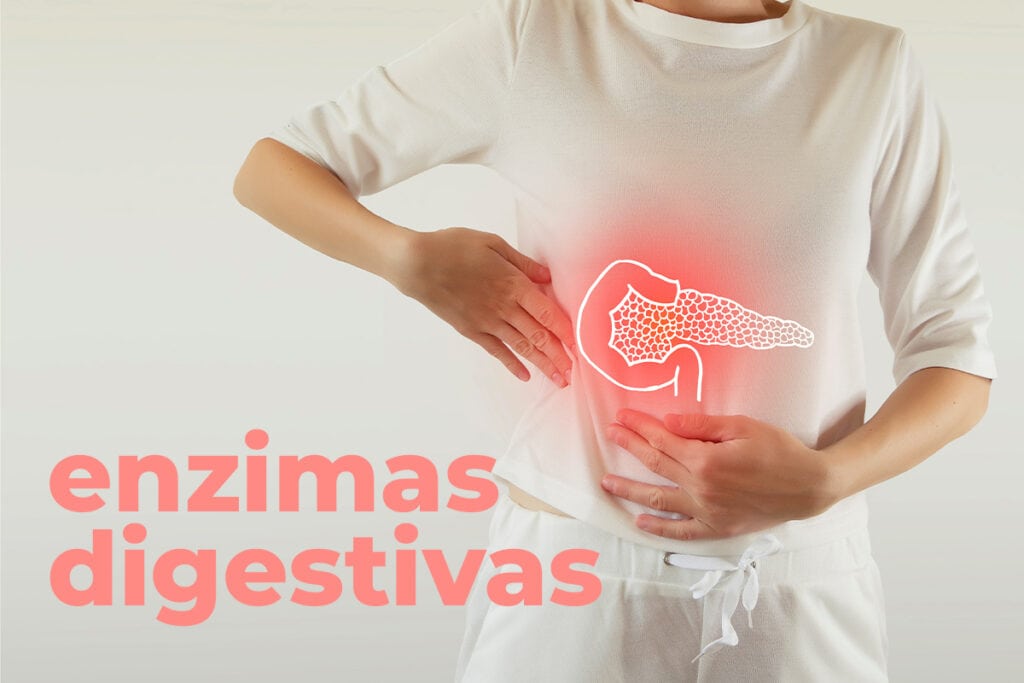 Que son las enzimas digestivas y para qué sirven