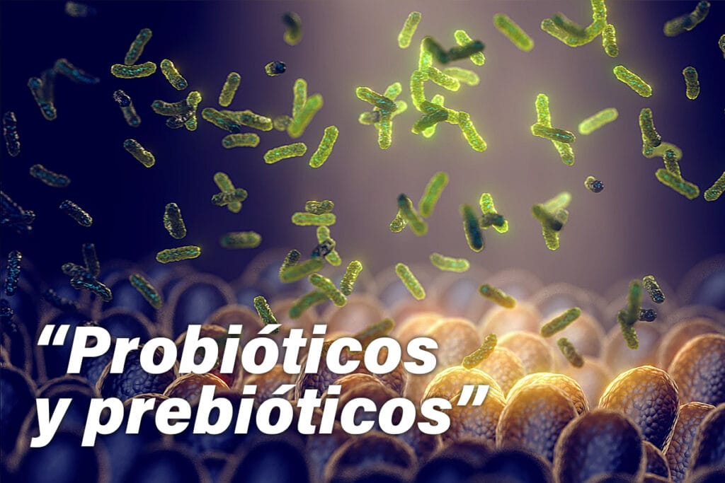 Probióticos y prebióticos ¿Qué son, que beneficios tiene y que diferencias hay?