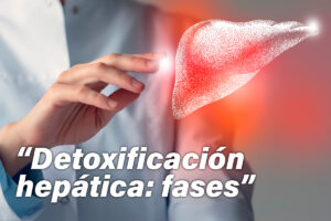Detoxificación hepática y fases de activación y conjugación