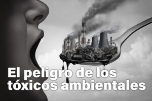 Los tóxicos ambientales que comemos y síntomas de toxicidad más frecuentes