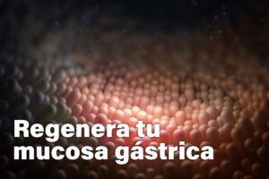 Como regerar la mucosa (vista de la mucosa del estómago por dentro)