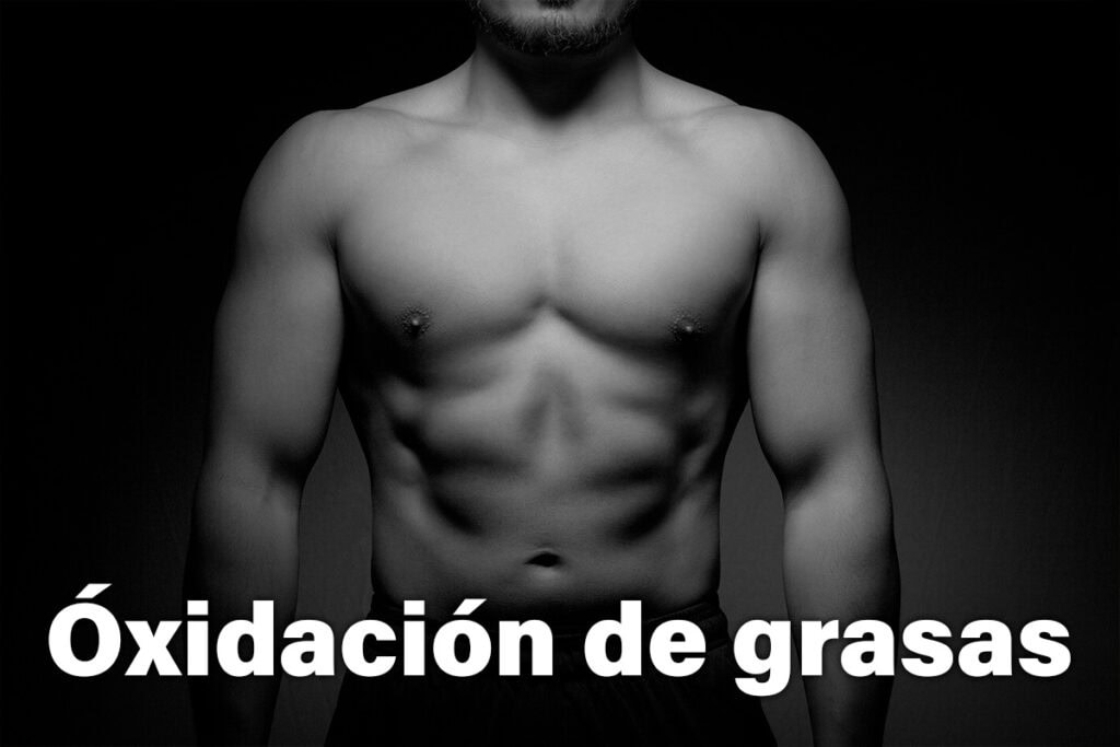 La oxidación de grasas y ácidos grasos es clave durante el ejercicio