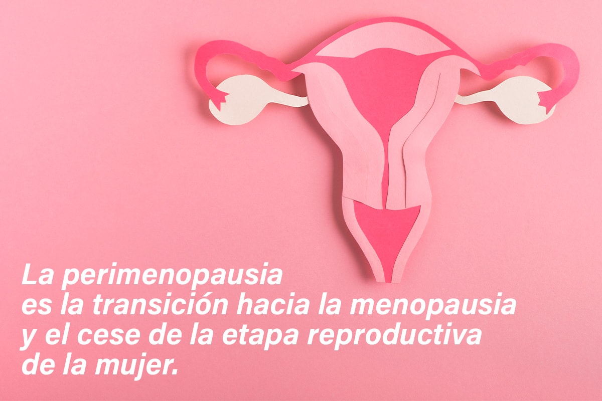 La perimenopausia es la transición hacia la menopausia y el cese de la etapa reproductiva de la mujer.