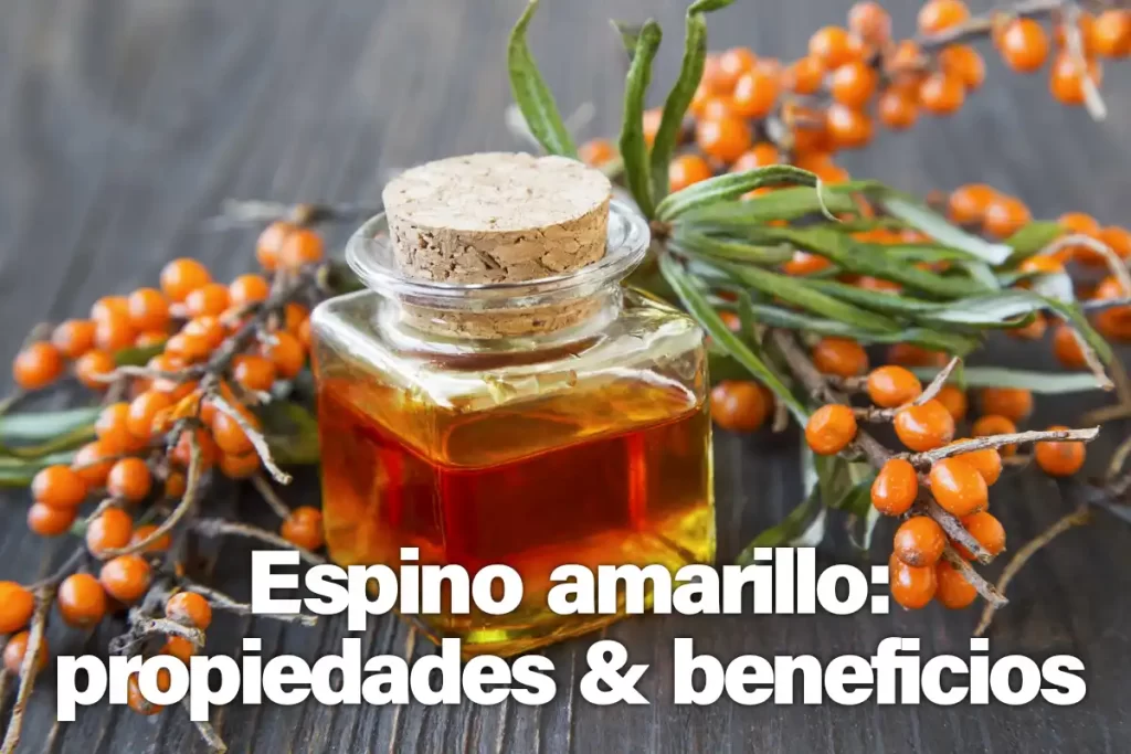 Un bote con espino amarillo con sus propiedades y beneficios increíbles