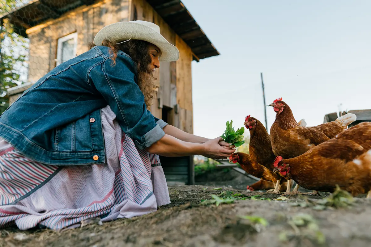 Una mujer con sombrero de vaquero y chaqueta de mezclilla alimentando a unas gallinas en un entorno rural. La escena muestra prácticas de crianza sostenible, destacando los beneficios de la carne ecológica y su enfoque en el bienestar animal.