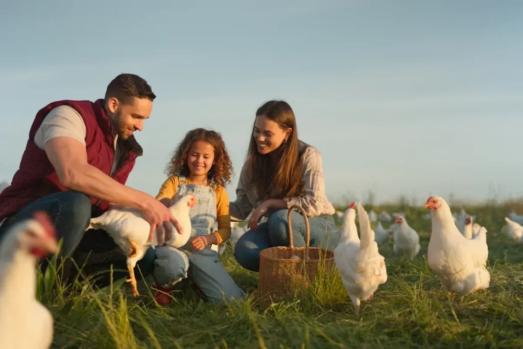 Una familia feliz en un campo abierto rodeada de gallinas blancas, interactuando de cerca con los animales. Esta imagen resalta la ganadería sostenible y la conexión familiar con la producción de carne ecológica, enfocándose en sus beneficios para la salud y el medio ambiente.