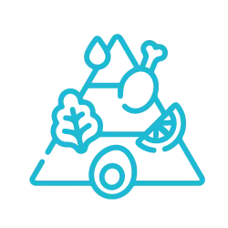 En el máster en psiconeuroinmunología tendrás protocolos nutricionales según patologías