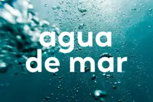 ¿Qué pasa si bebes agua de mar? Beneficios y riesgos del agua de mar para beber en soluciones isotónicas seguras